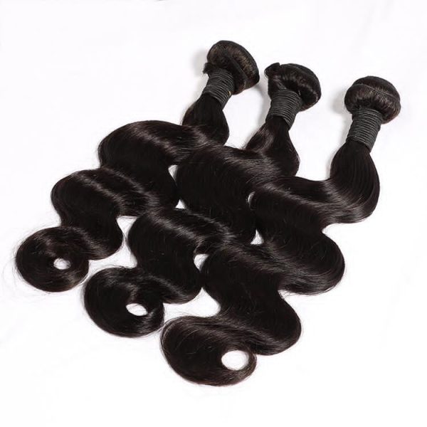 raw virgin hair bundle